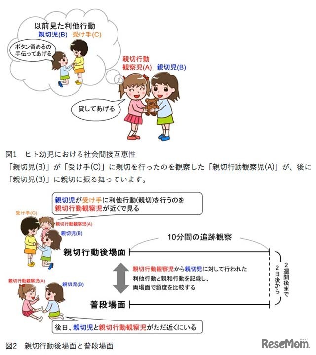ヒト幼児における社会間接互恵性／親切行動後場面と普段場面