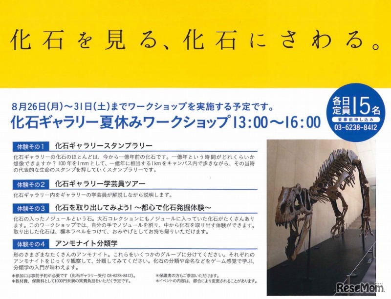 大石化石ギャラリー・夏休みワークショップ