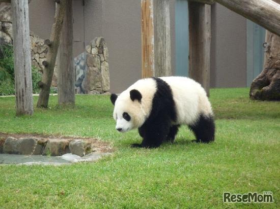 アドベンチャーワールド