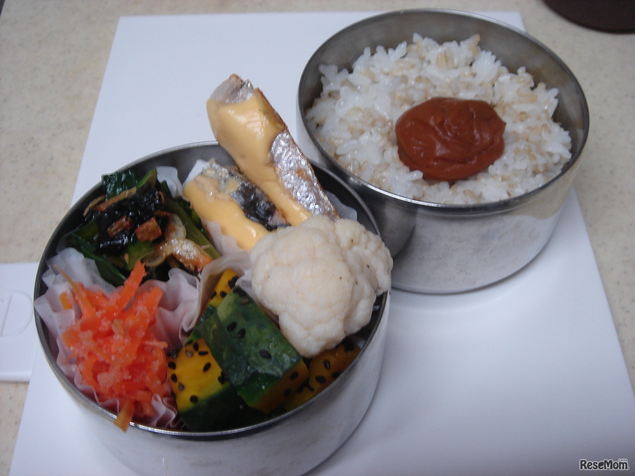 鮭マヨ弁当
