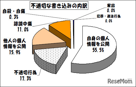 不適切な書込みの内訳