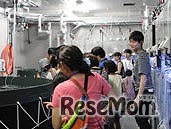 おやこでお泊り水族館　過去の様子（バックヤード）