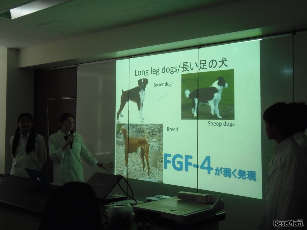 リサーチワークのプレゼンテーション