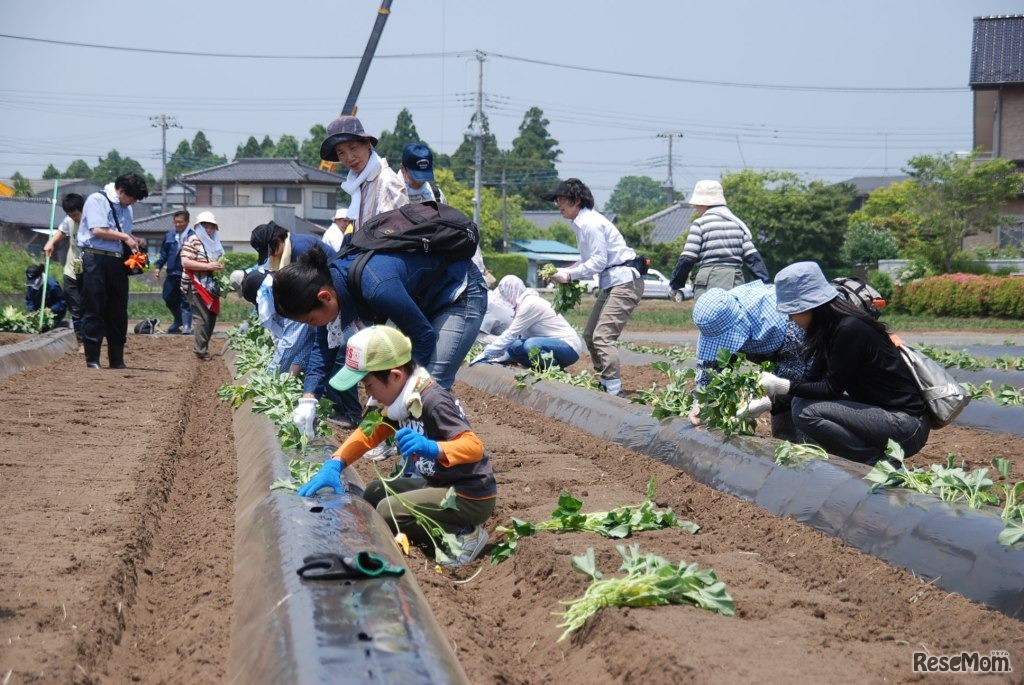 JA全農親子農業体験ツアー