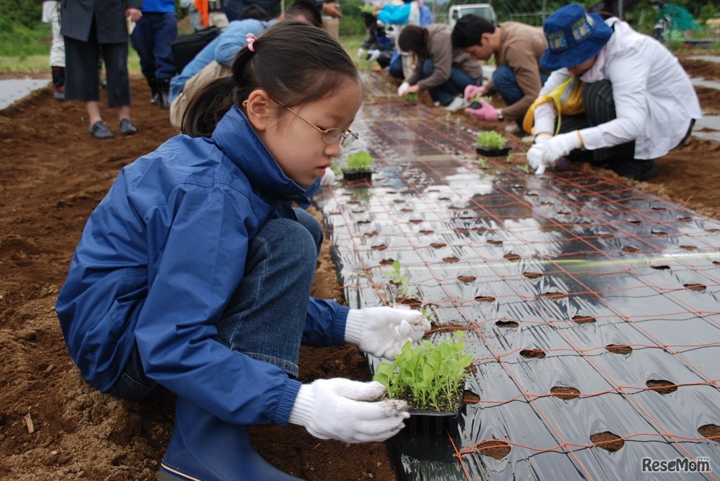 JA全農親子農業体験ツアー