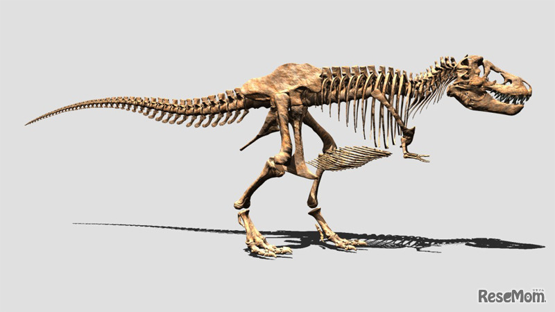 V×Rダイナソー（ティラノサウルス）