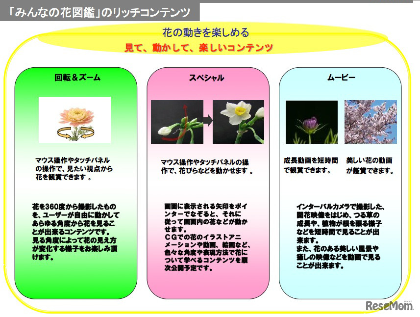 リッチコンテンツ