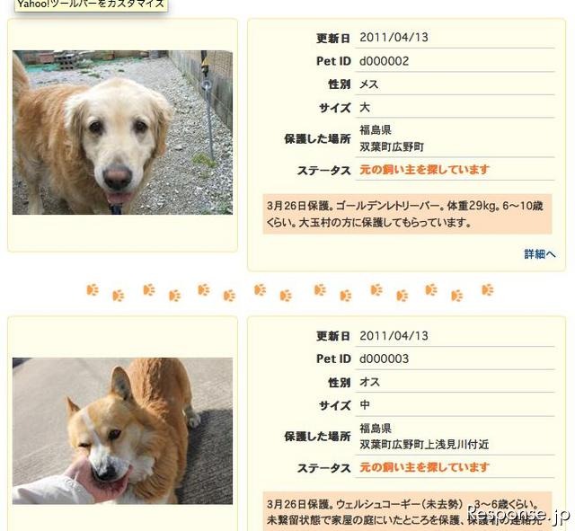 日本マイクロソフト MSNペットサーチ