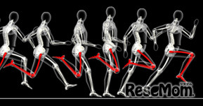 紅白対抗リレーで勝つ！ 新・運動会で1番になる方法