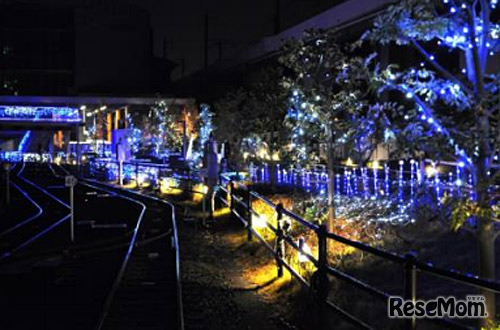 レールに反射するルミネーション