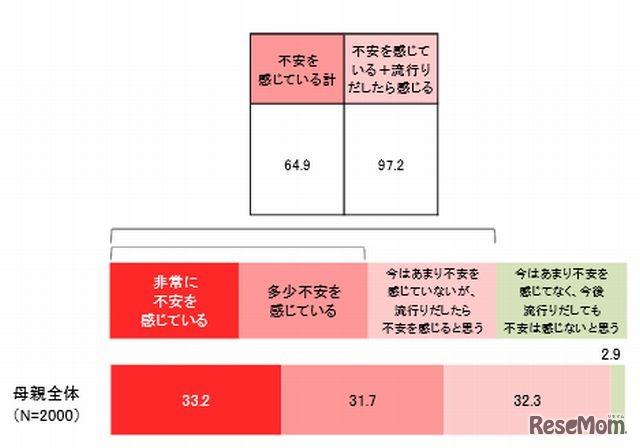 インフルエンザに対する不安（母親）