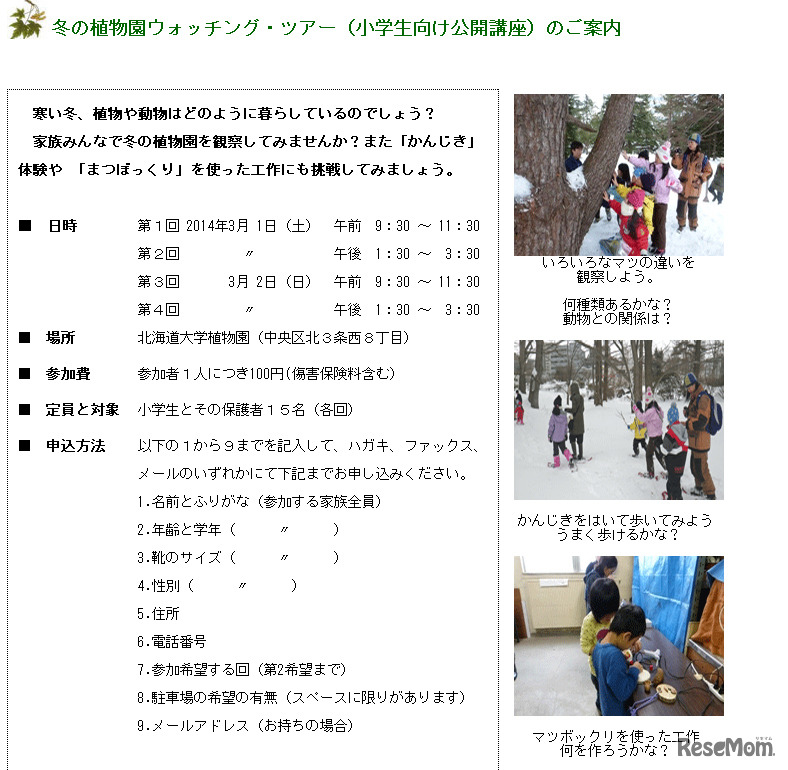 冬の植物園ウォッチング・ツア