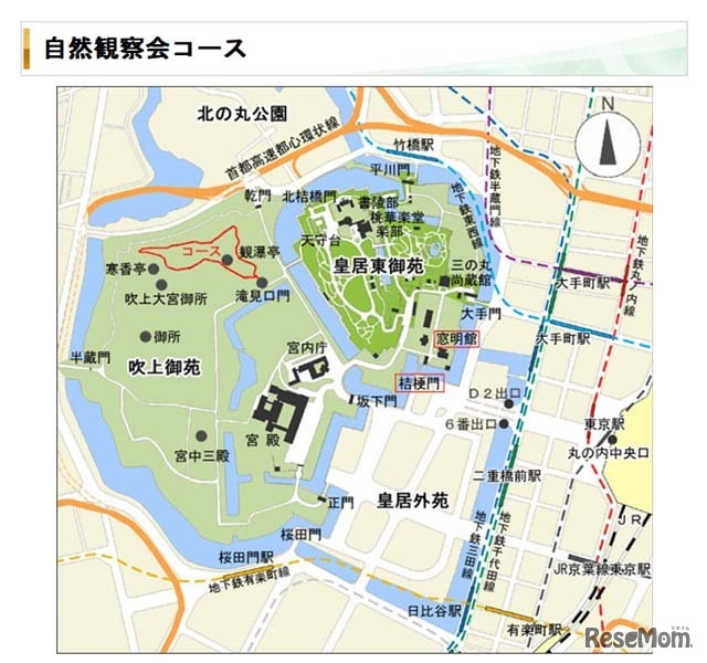 自然観察会コース