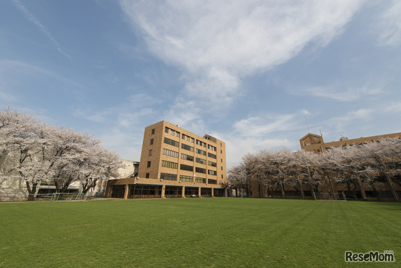 天然芝のサッカー場