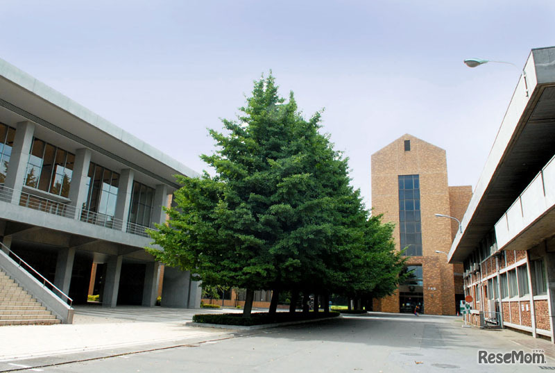 十文字学園女子大学