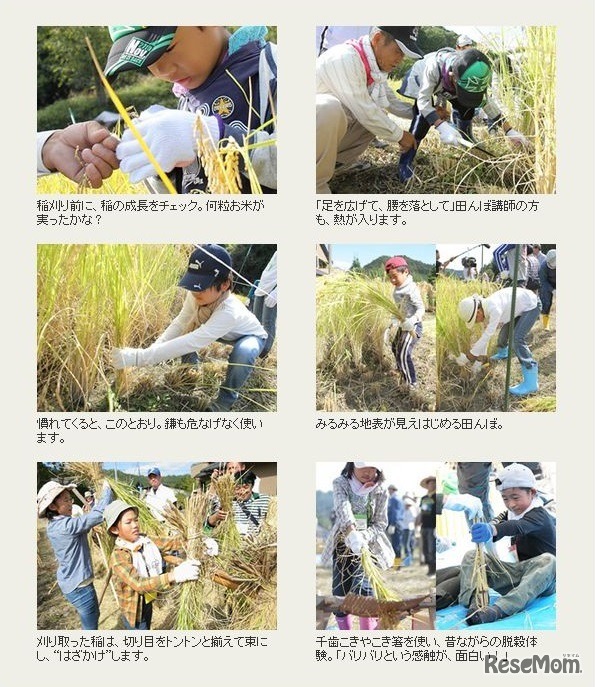 前回の様子（2）