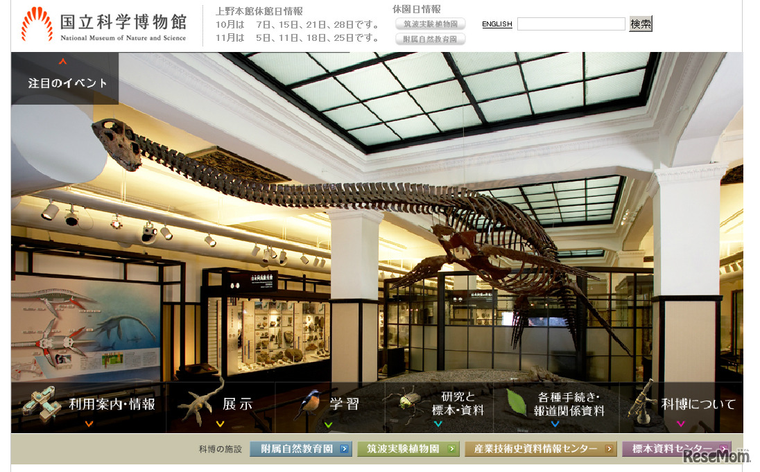国立科学博物館（Webサイト）