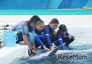 鴨川シーワールド　ジュニアトレーナー