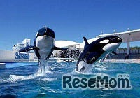 鴨川シーワールド