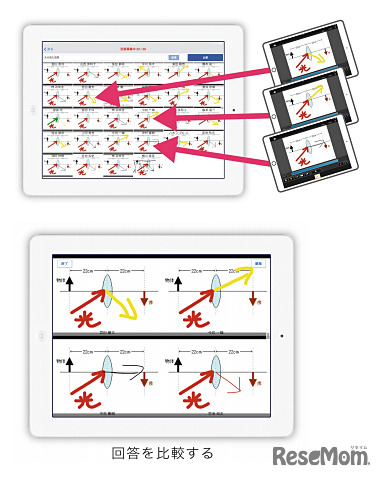 回答を比較する