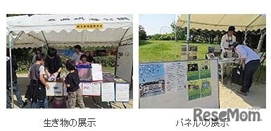 ワークショップの様子