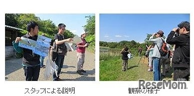 春のバードウォッチングフェスティバル