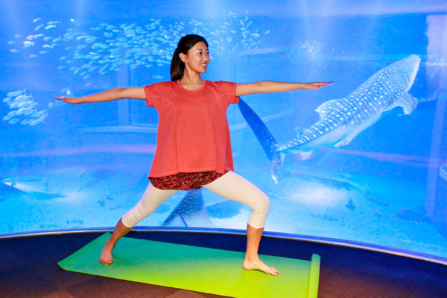 夜ヨガ×夜の海遊館