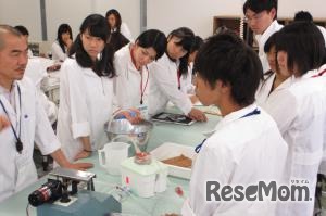 昨年の東洋大学でのサマー・サイエンスキャンプの様子