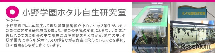 ホタル自生研究室