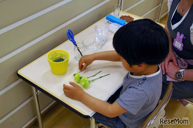 花の水切り作業