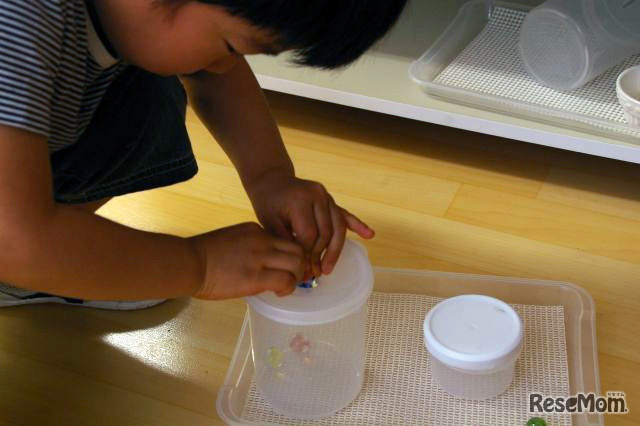 ビー玉を容器に入れる