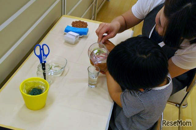 花瓶に水を注ぐ
