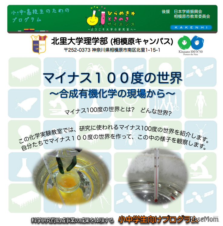 マイナス100度の世界～合成有機化学の現場から～