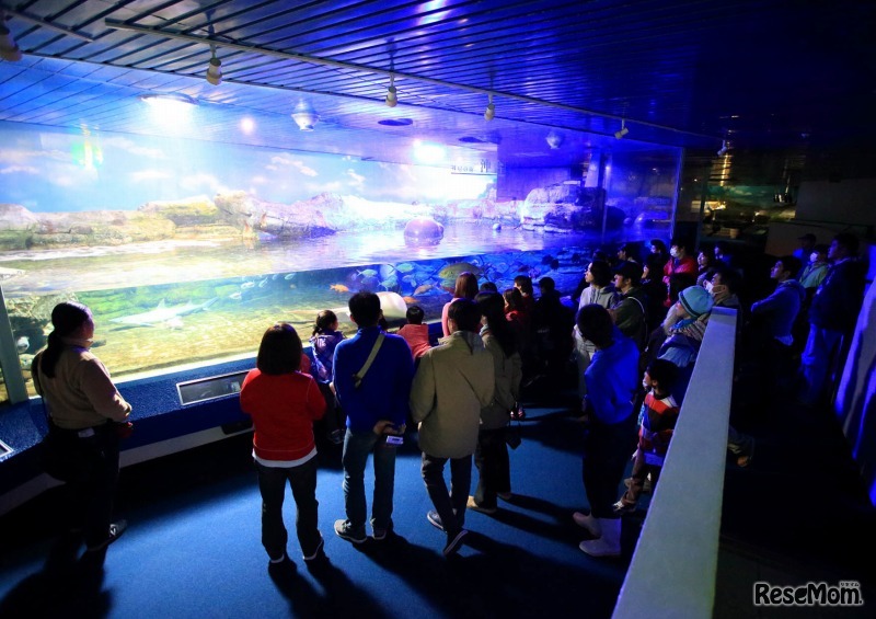 鴨川シーワールド・ナイトアドベンチャー