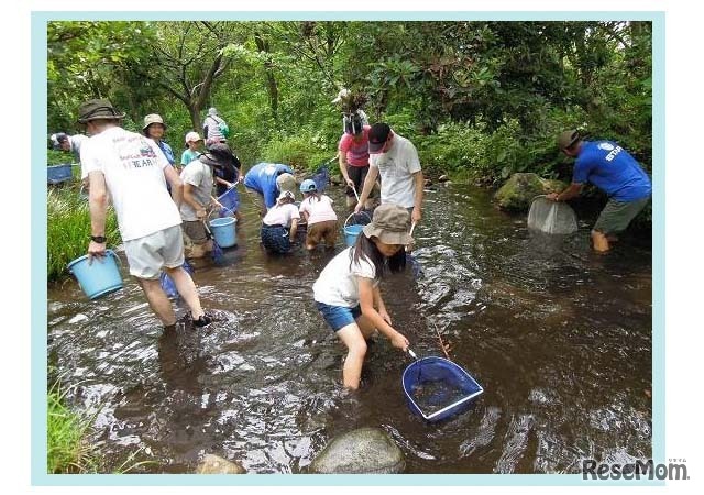 「親子ではじめる川遊び」