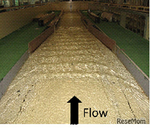 水に関する災害と防災を学ぼう！