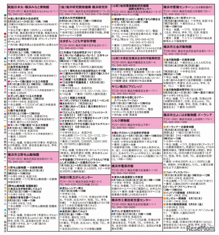 かながわサイエンスサマー（リーフレット）