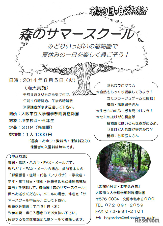 森のサマースクール