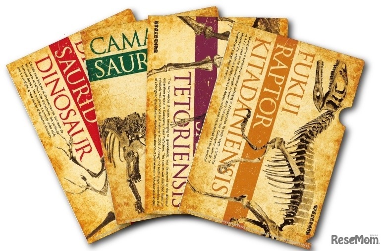 恐竜クリアファイル