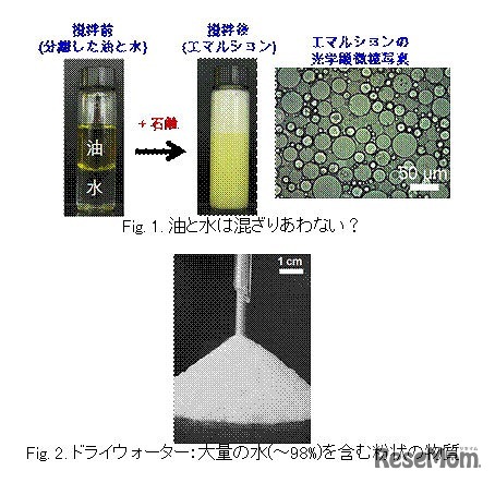 「境目の魅力をさぐる：界面ってなにがおもろいねん」