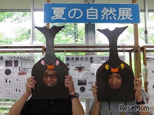 カブトムシパネル