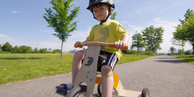 Dreisch Leaning Tricycle