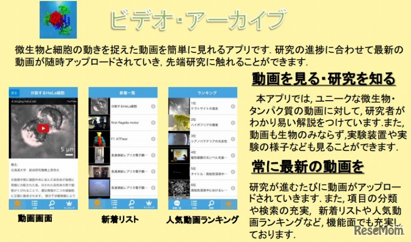 ビデオ・アーカイブ