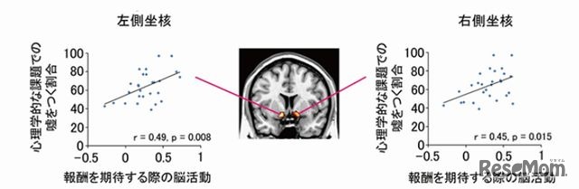 報酬期待に関わる側坐核の反応と、嘘をつく割合との正の相関