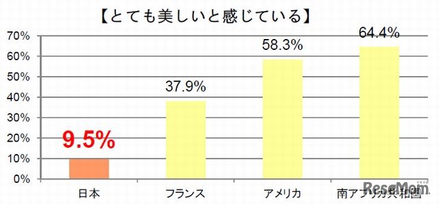 母親の美しさに対する評価