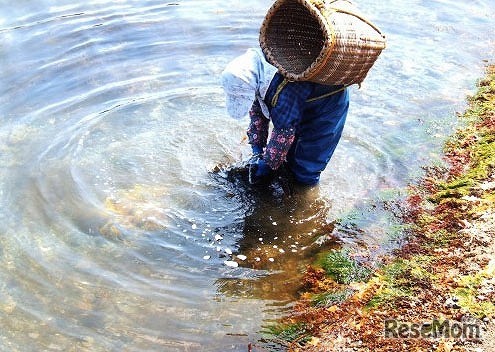高校生フォトコンテスト　2013年最優秀賞作品「うちの母ちゃん」