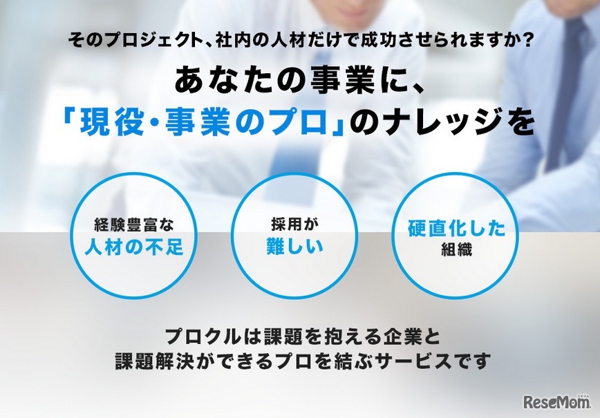 プロクル、概要