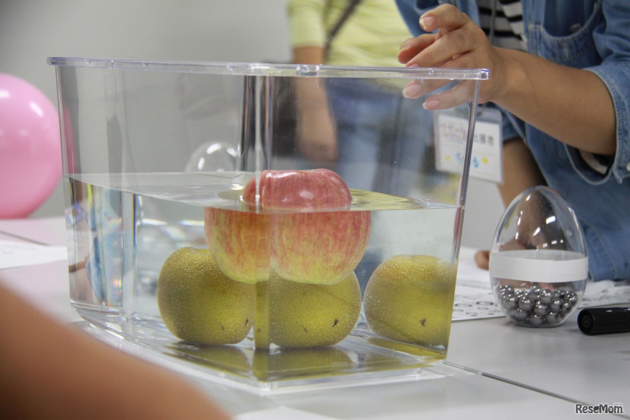 ワークショップコレクション 浮力探検隊