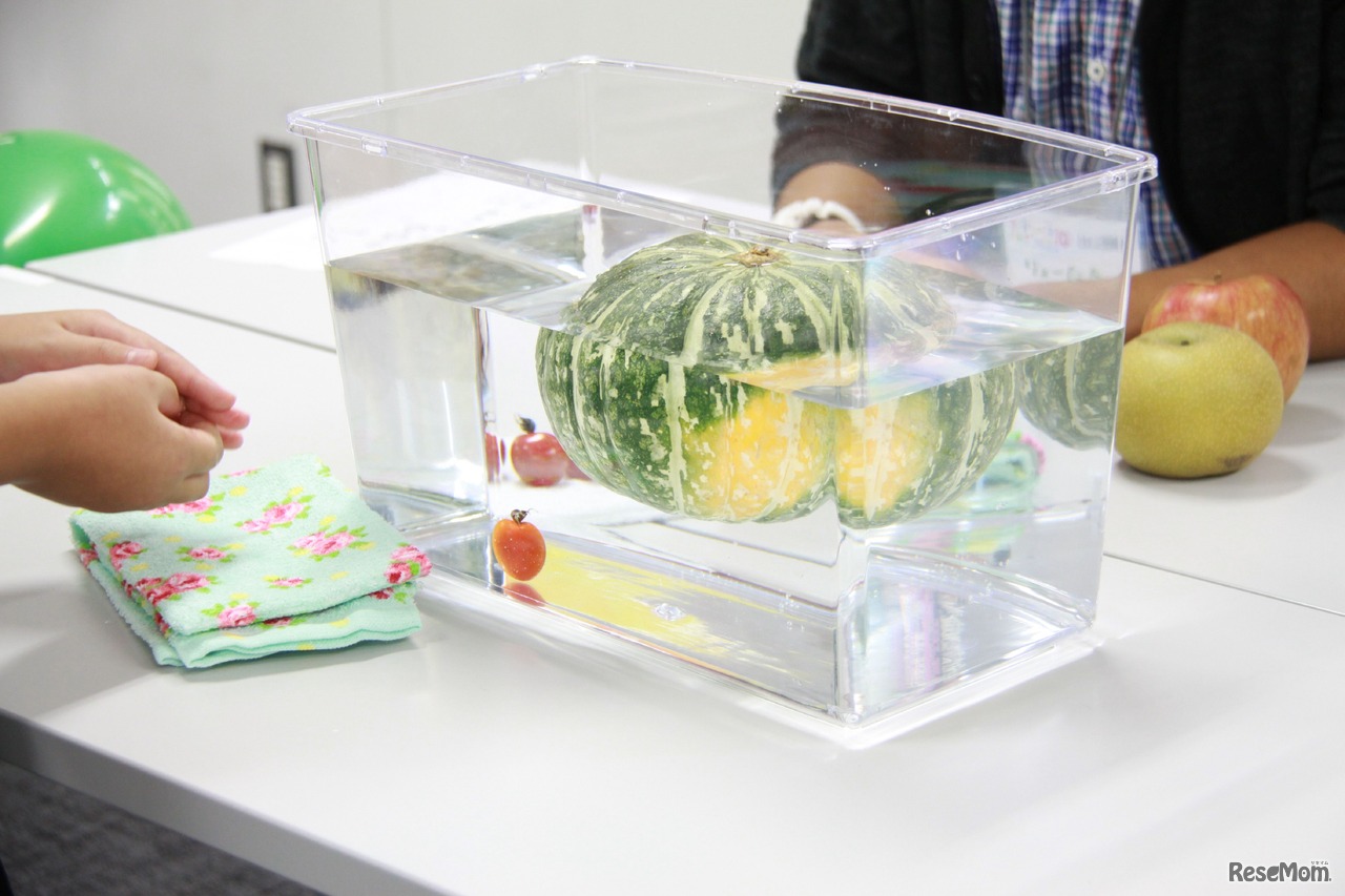 カボチャとミニトマトの実験で抽象理解を現実に応用する力をつける