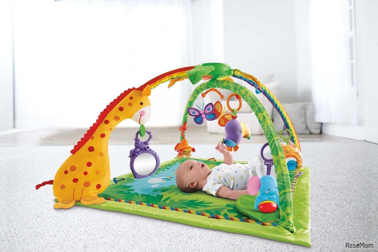 レインフォレスト デラックスジム